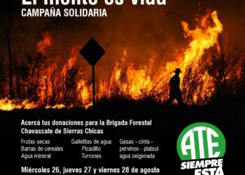 Incendios: ATE convoca a la solidaridad