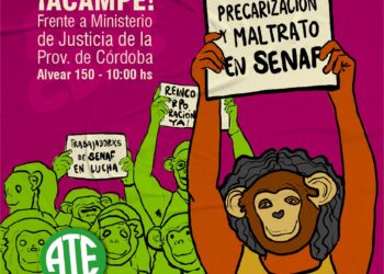 Trabajadoras y trabajadores de la SENAF realizarán un acampe frente al Ministerio de Justicia y DDHH