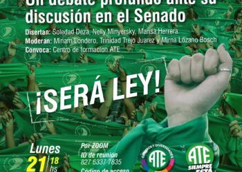 El aborto en debate: conversatorio virtual