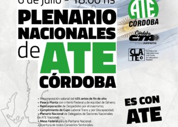 Nacionales y provinciales realizarán plenarios esta semana para organizar el reclamo salarial