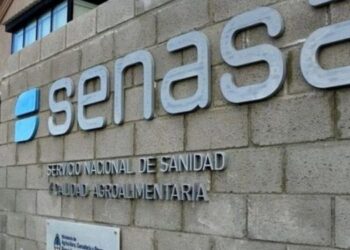 Logro de ATE: un trabajador de SENASA Córdoba logra una licencia por paternidad de 100 días para atender a su hijo recién nacido