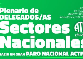 Giuliani: Plenario y jornada de lucha de las y los nacionales ante la pauta a la baja de Alberto y UPCN