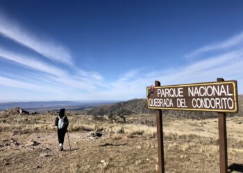 Parques Nacionales: asamblea confirma paro de mañana para repudiar la represión en Jujuy