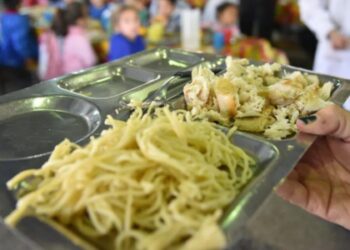 Análisis: ¿Cómo impacta la crisis económica en el PAICOR?