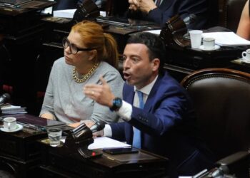 ATE repudia a las y los diputados nacionales que votaron la Ley de Bases de Milei para desguazar el Estado