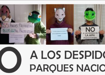 Parques Nacionales: estado de alerta y asamblea permanente ante nueva ola de despidos