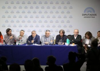 Audiencia Pública en el Congreso: Nuestro Sindicato al Frente de la Lucha contra los Despidos