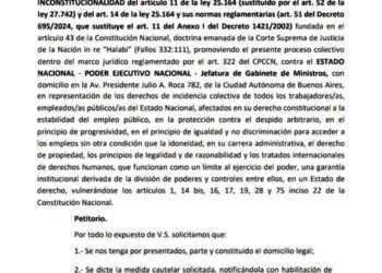 Demandan ante la Justicia la declaración de inconstitucionalidad de una parte de la Ley Bases