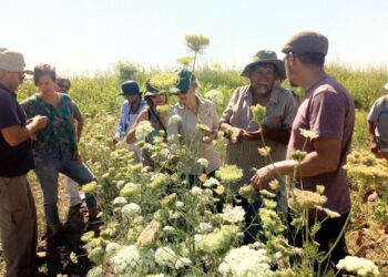 Por la reapertura del ente de Agricultura Familiar y la reincorporación del personal violentamente despedido
