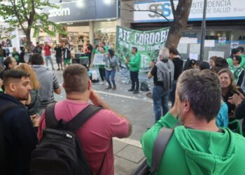 ATE repudia el cierre de Andis, otro golpe del gobierno a las personas con discapacidad tras el saqueo del organismo