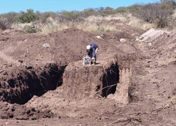 A pesar del negacionismo de Milei: ATE celebra la identificación en Córdoba de 12 compañeros/as desaparecidos/as